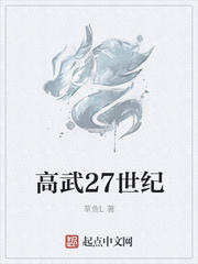 高武27世紀小说封面